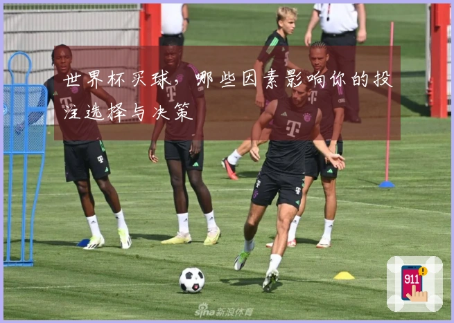 世界杯买球，哪些因素影响你的投注选择与决策