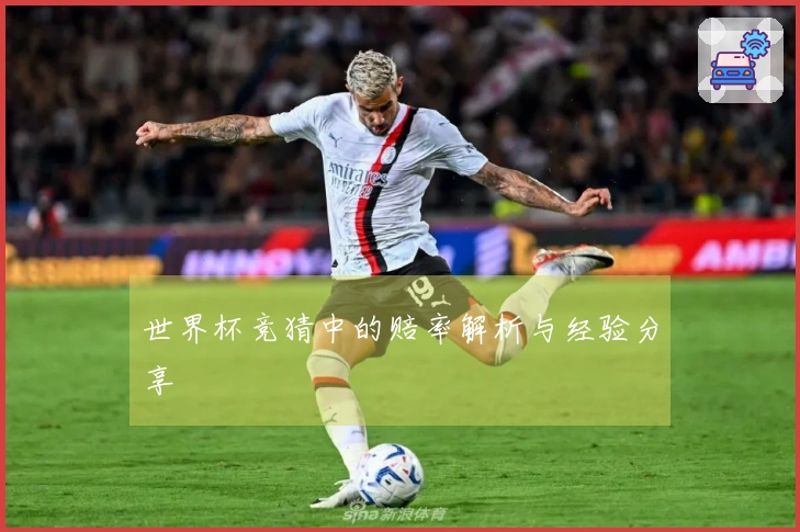 世界杯竞猜中的赔率解析与经验分享