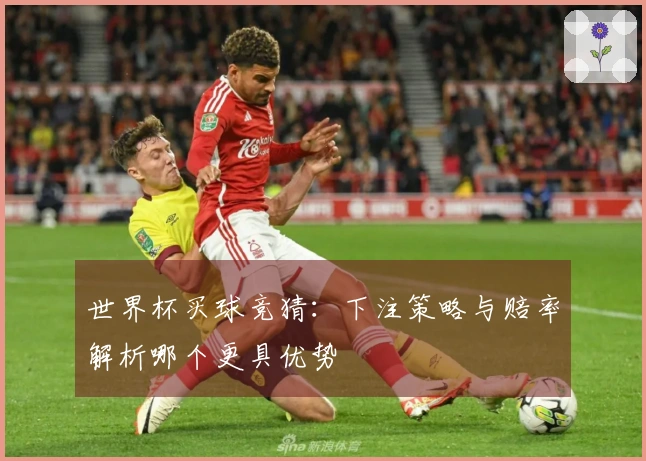 世界杯买球竞猜：下注策略与赔率解析哪个更具优势