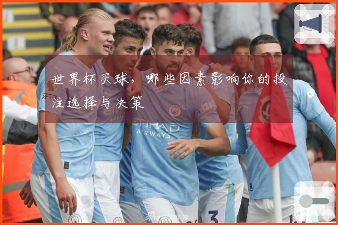 世界杯买球，哪些因素影响你的投注选择与决策