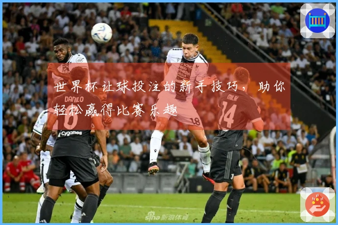 世界杯让球投注的新手技巧，助你轻松赢得比赛乐趣