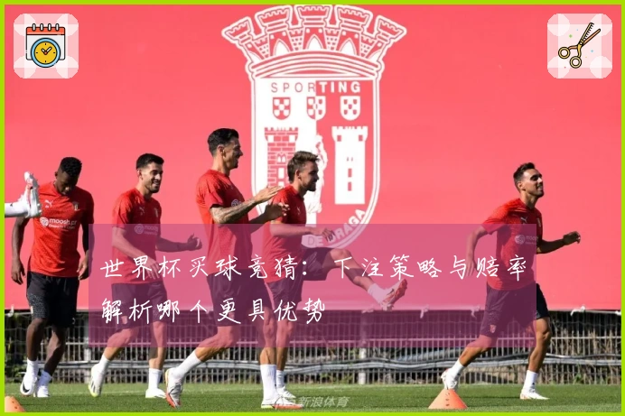 世界杯买球竞猜：下注策略与赔率解析哪个更具优势